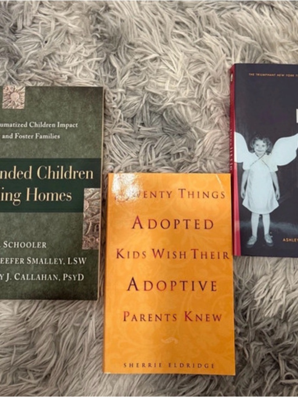 Adoption & Foster Care Resource Book Bundle (3 Books)